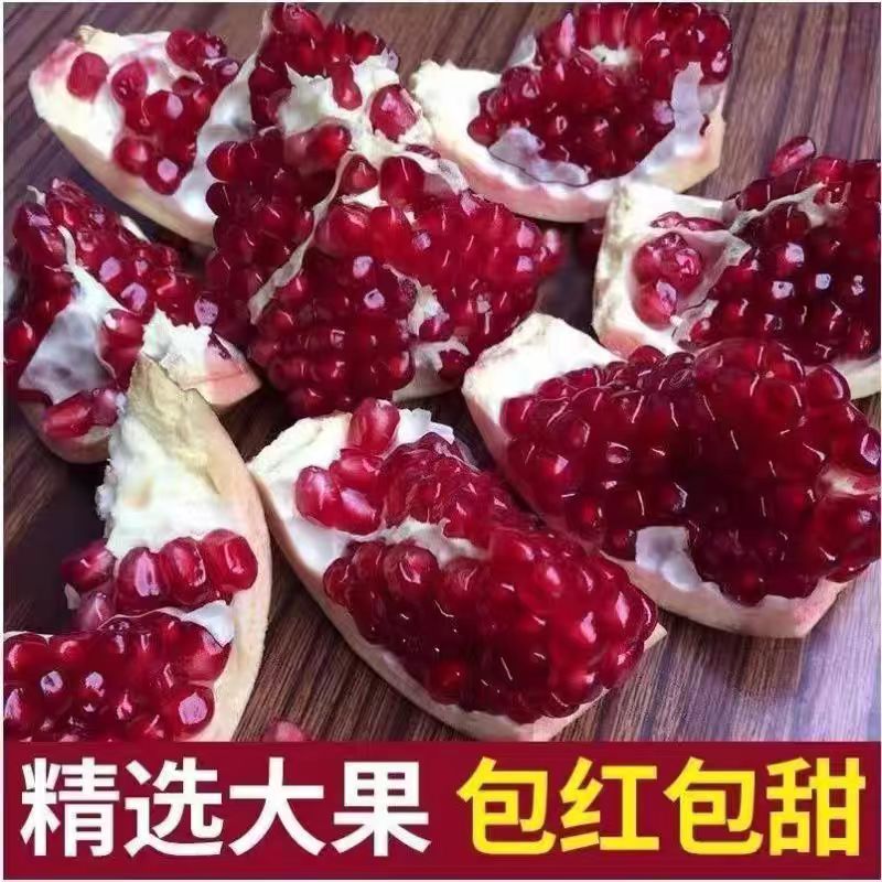正宗 突尼斯软籽石榴 大红袍 紫玉 蒙阳红 适合南北方种植