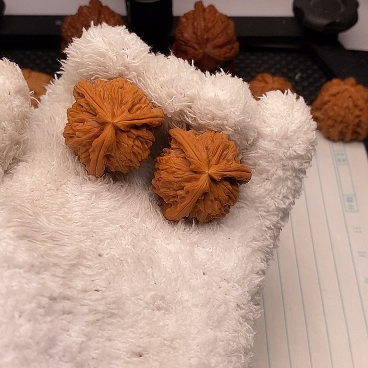 核桃手串/手链白狮子3