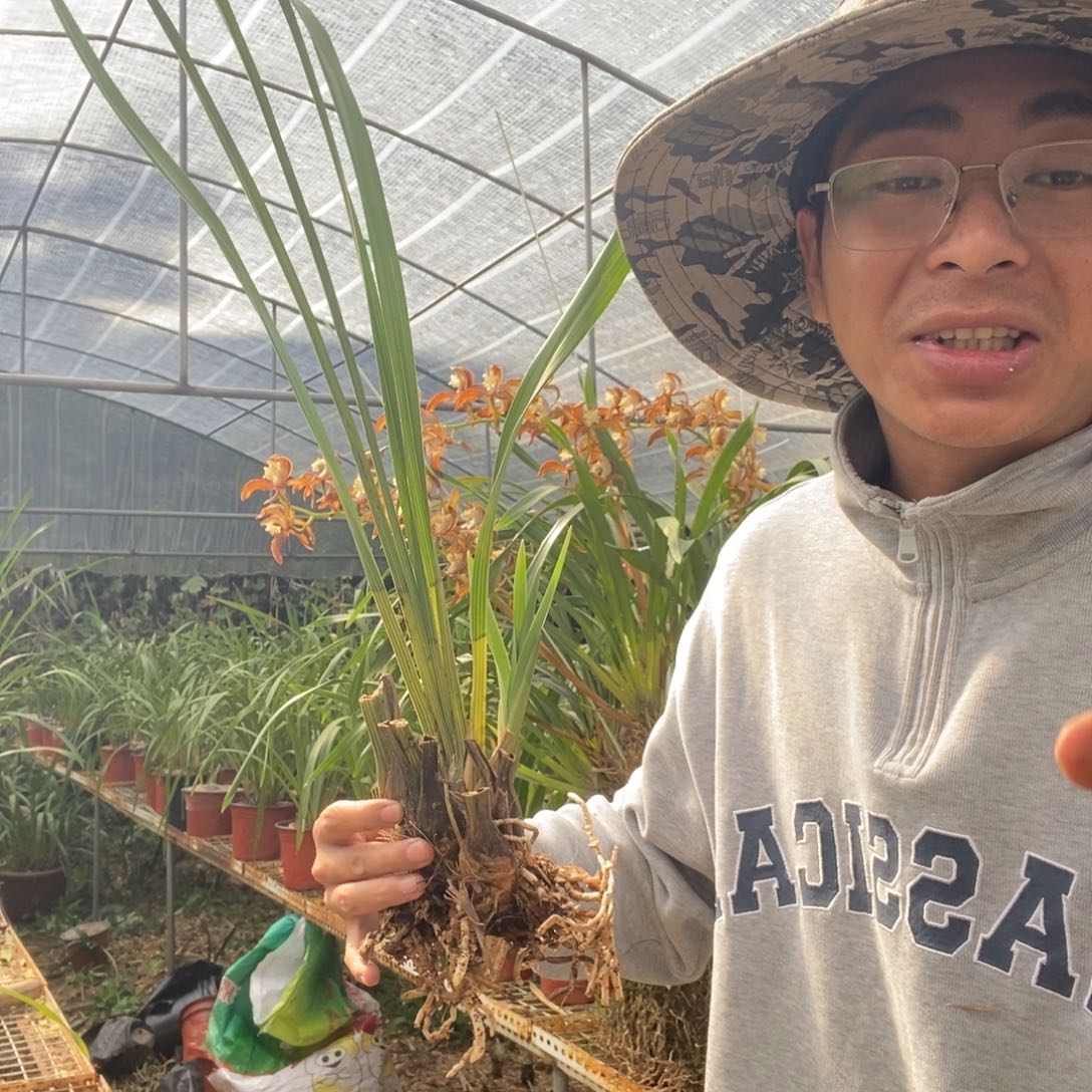 完全开放13青蝉黑奇