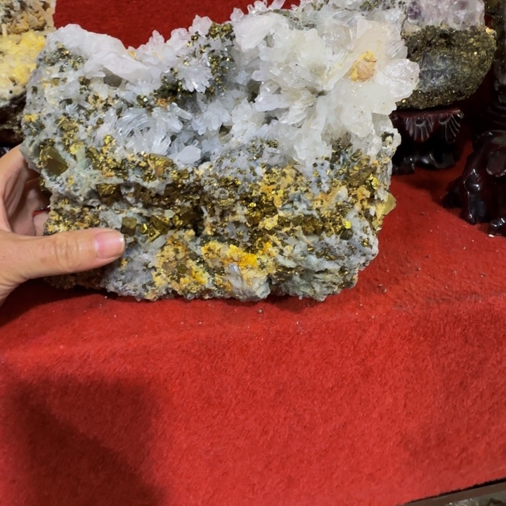 观***李有机玻璃图图我哦哦哦哦哦