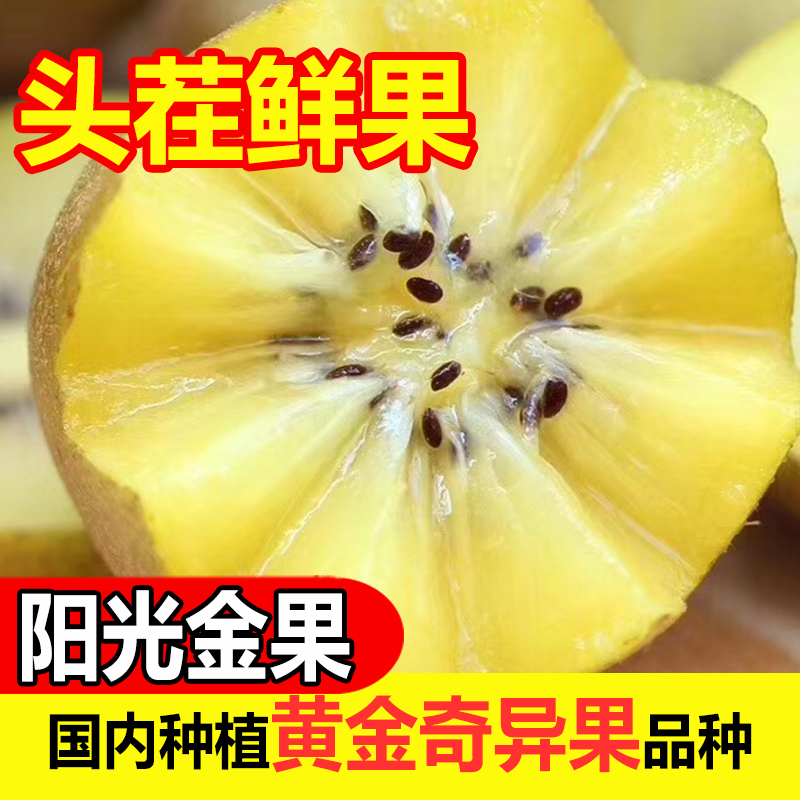 金果黄心猕猴桃国产黄金奇异果香甜应季新鲜孕妇水果现摘大果礼盒
