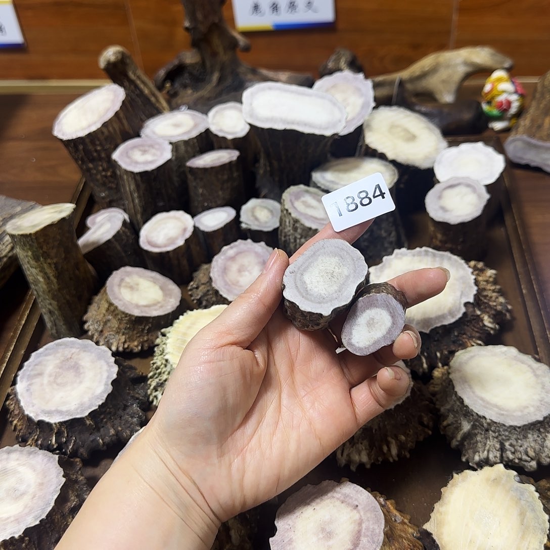 手串/手链鹿骨1884根段两个