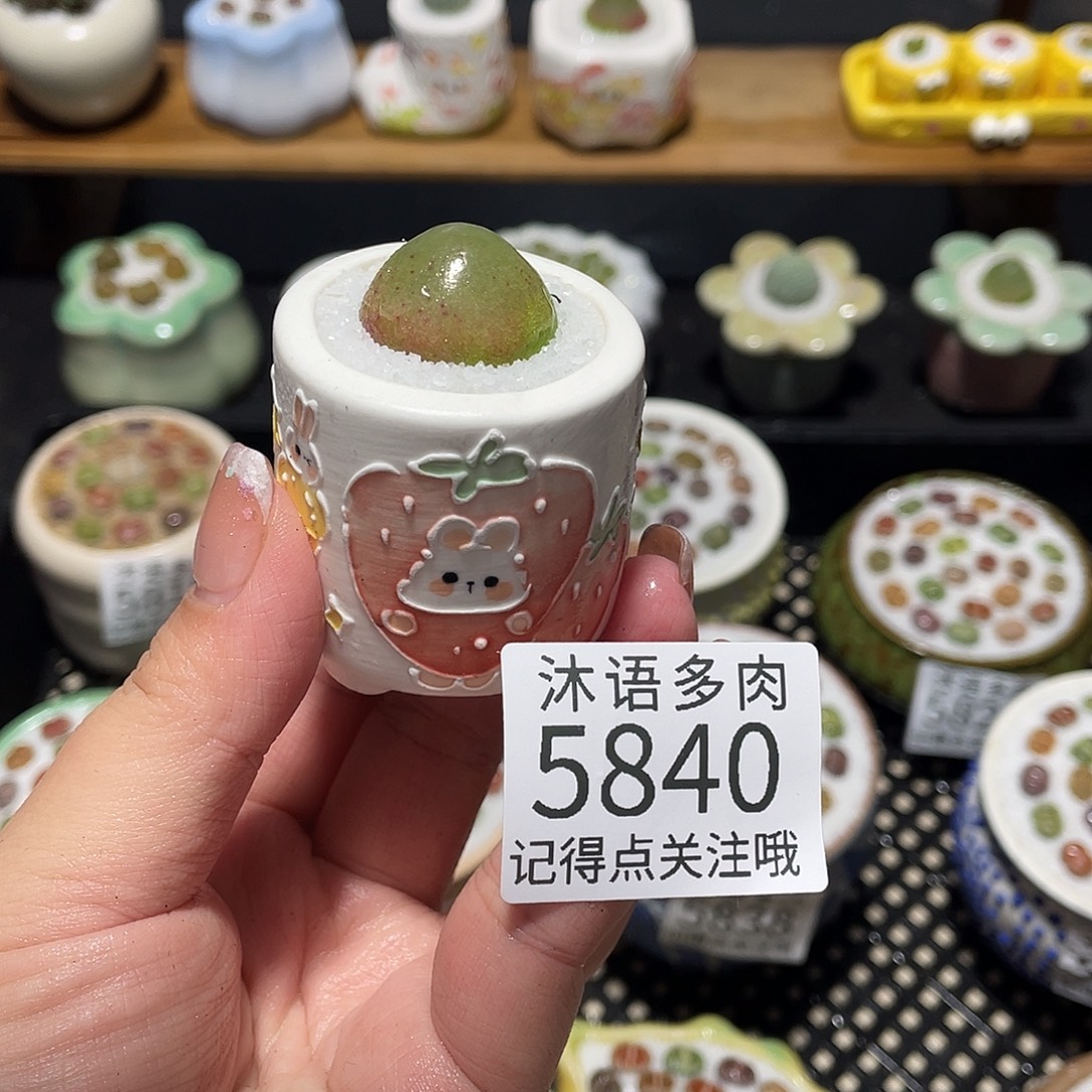 小***。带盆土植物 一物一拍5840