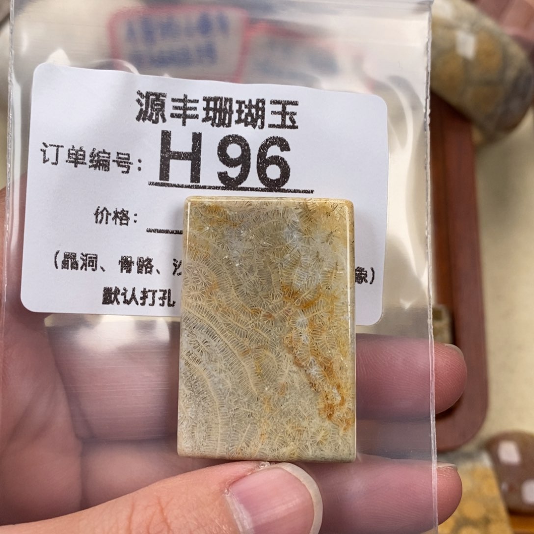 硅化玉颈饰未镶嵌Σ****