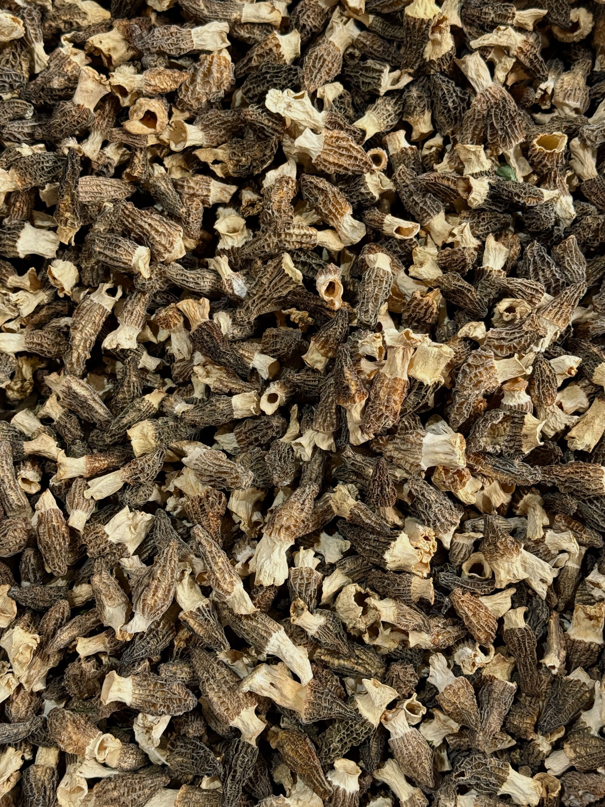 612290羊肚菌干菌菇