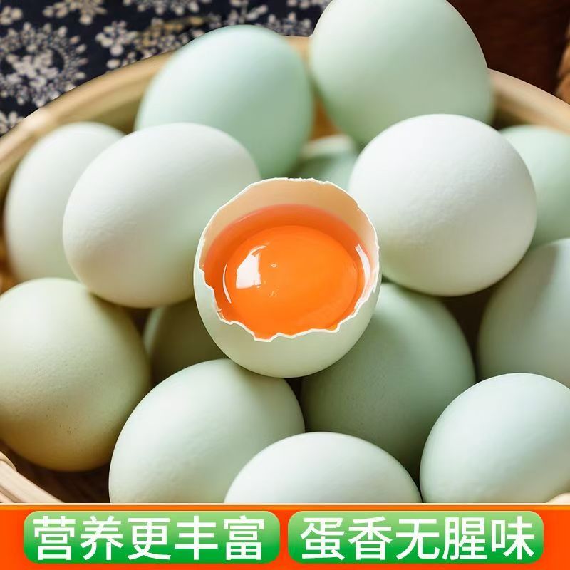 【供销专属】散养绿壳蛋新鲜现捡精品蛋营养美味健康