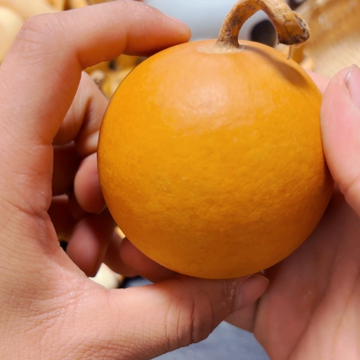 蛤**子88888988888888888888