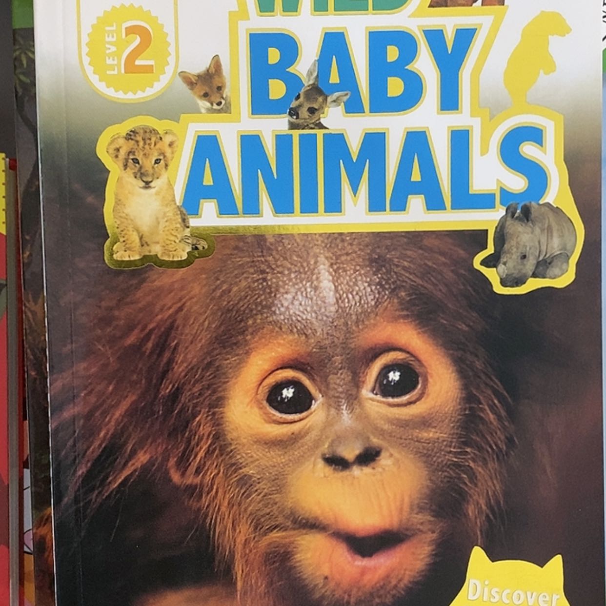 【闪购商品】Dk原版2级别10本瑕疵