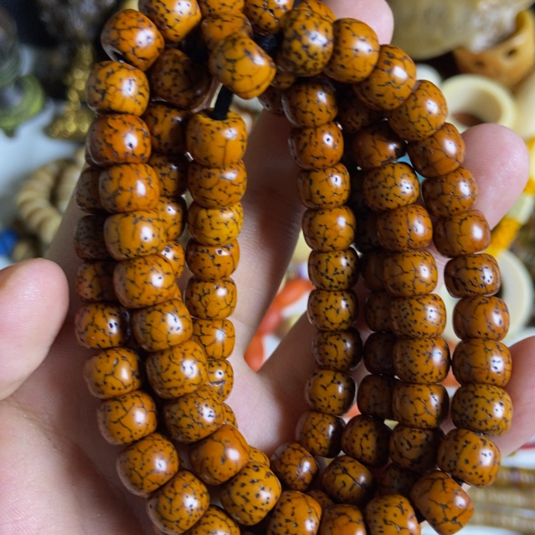 香榧木喜马拉雅招财