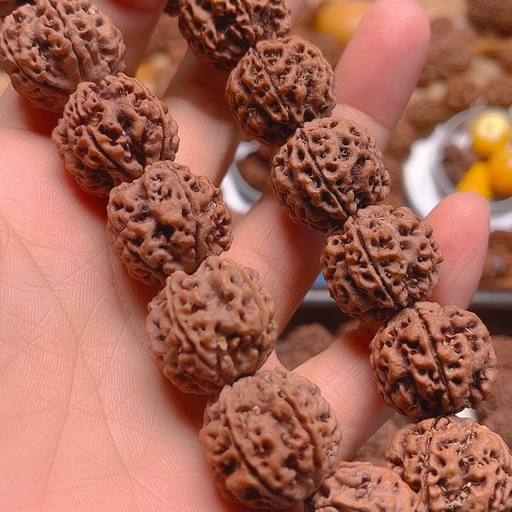 手串金刚菩提L136/21/5