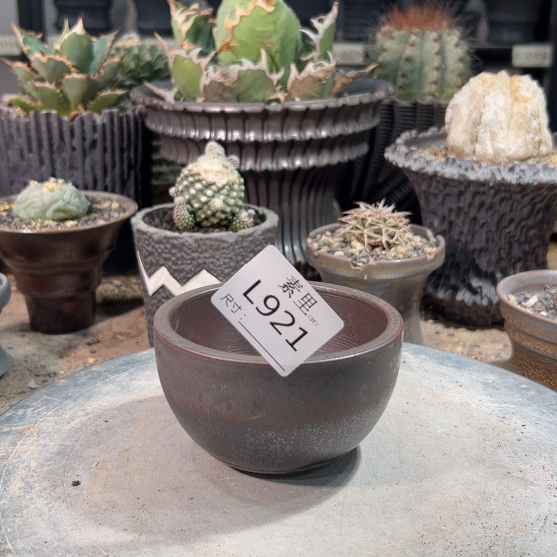 景德镇手工素里内口9高6