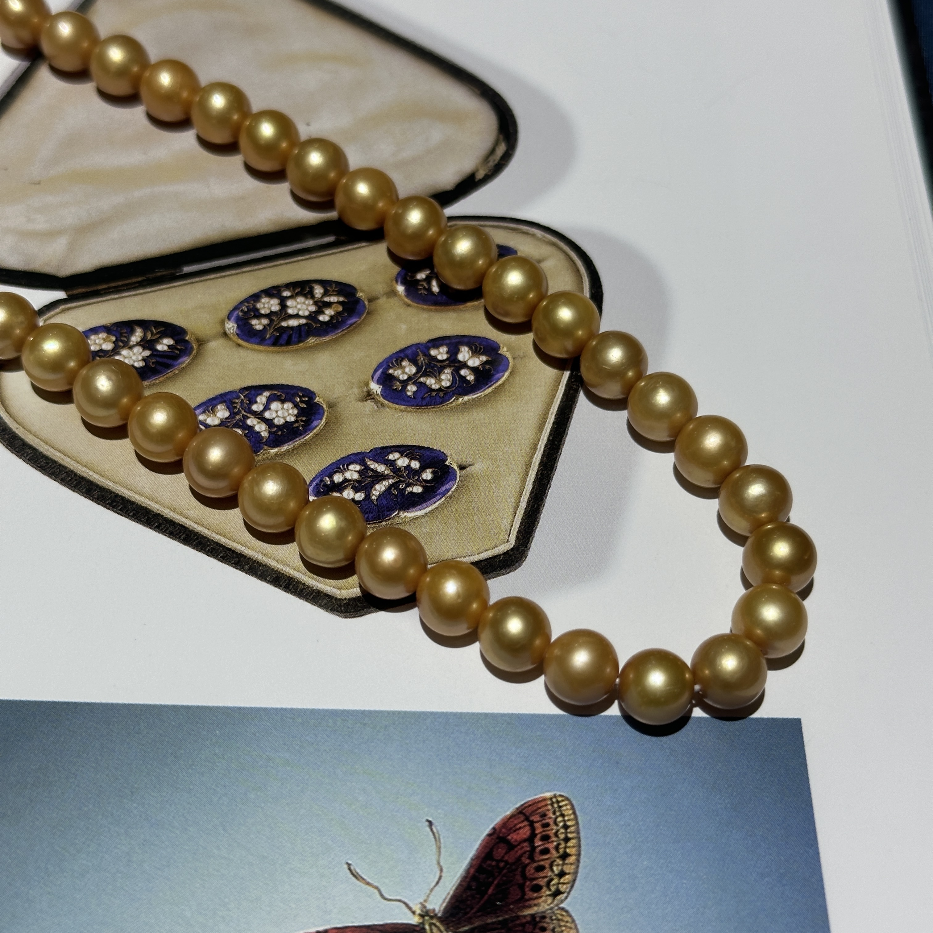 珍珠项链 日本金色珠珠项链 约7-8mm ZB251138