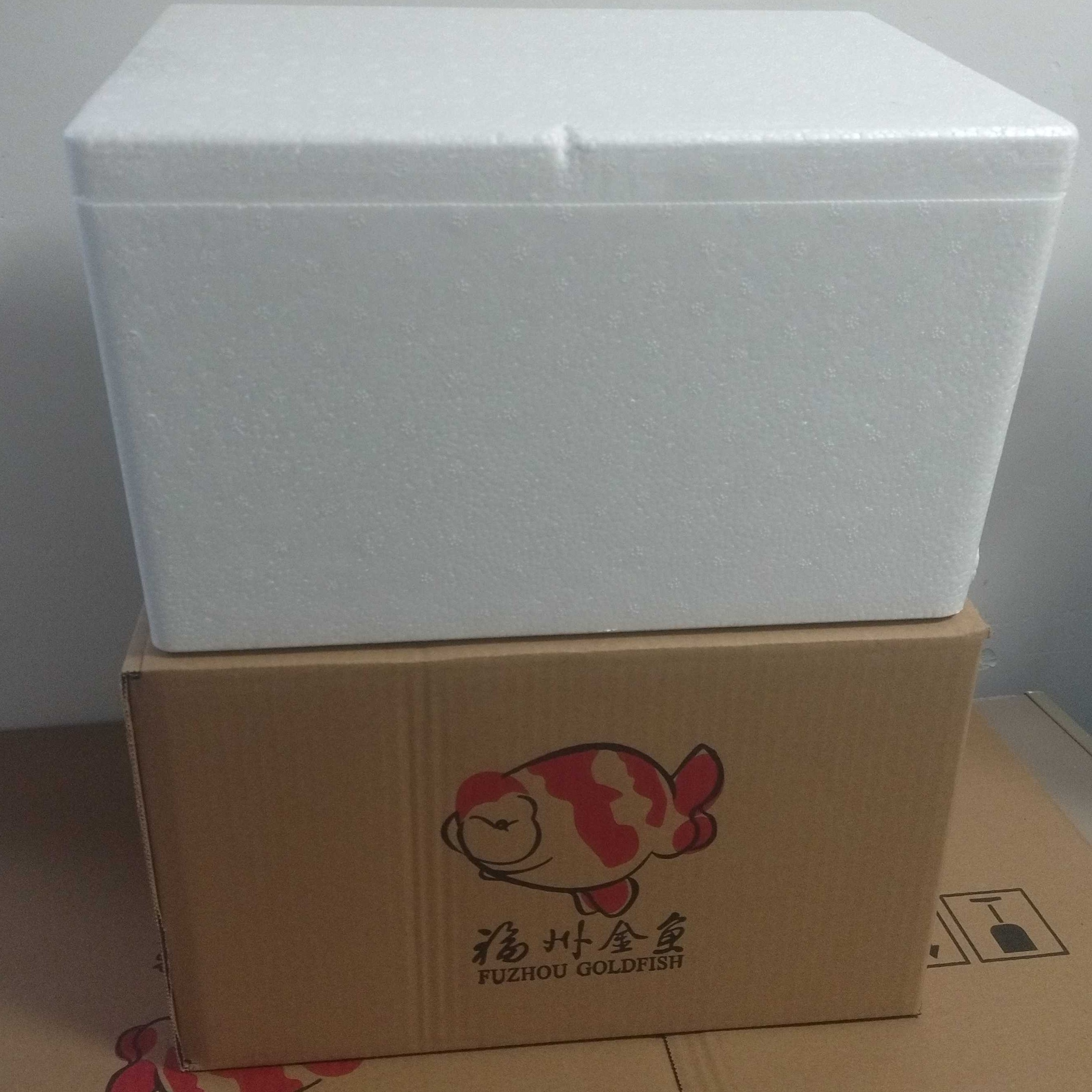 兰寿金鱼顺丰陆运包邮包装箱（一次性用品）鱼出现损耗此链接不退款