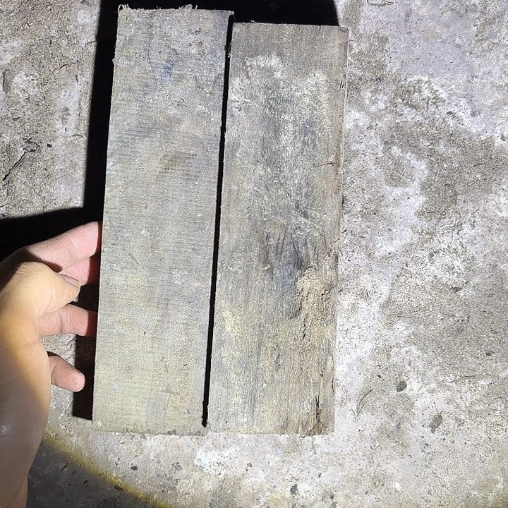 金丝楠啊啊啊啊啊