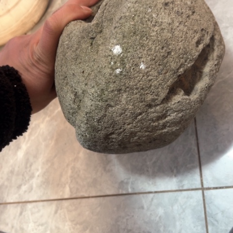 核桃木/黑胡桃（胡桃木）贤*