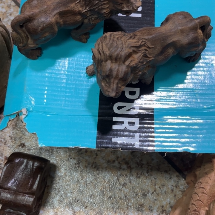 风车木（黑檀木）寒*