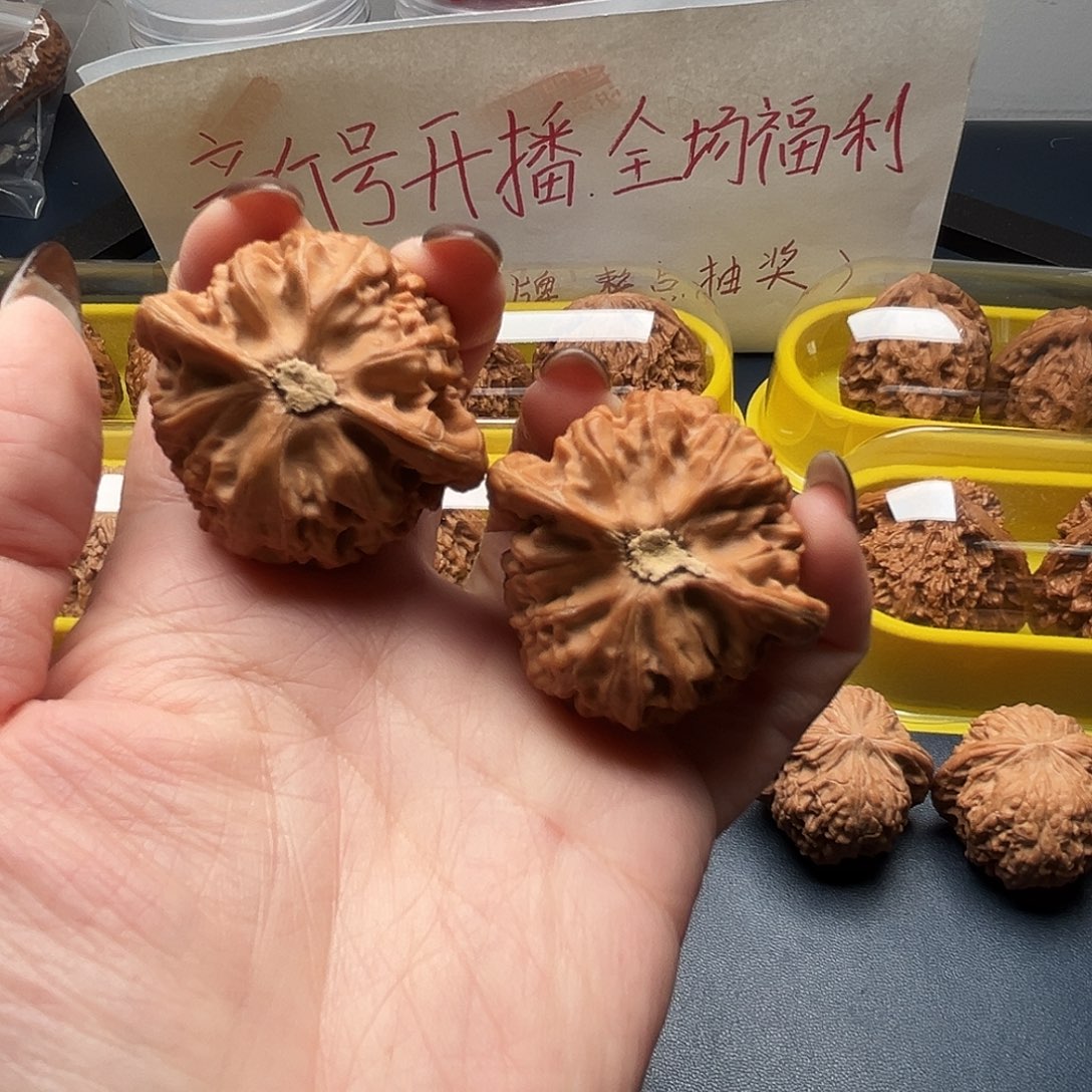 落***生核桃40.5尺寸宫灯