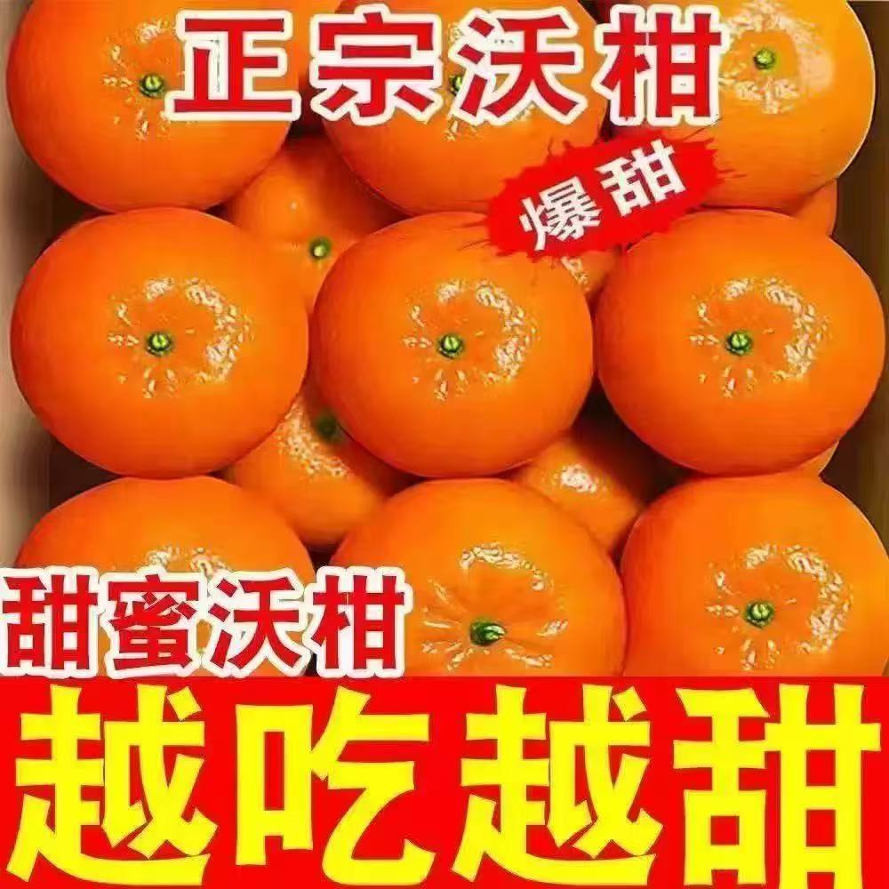 广西沃柑5公斤装京东送货上门京东送上门乌鲁木齐昌吉石河子五家渠克拉玛依包邮广西壮族自治区