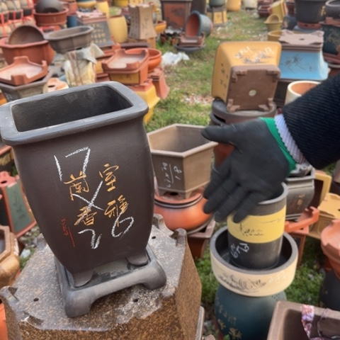 红陶紫砂花盆盆景盆栽