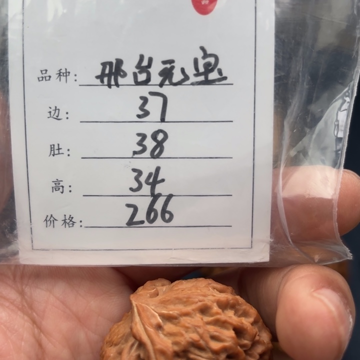 文玩核桃把件或*邢台元宝25