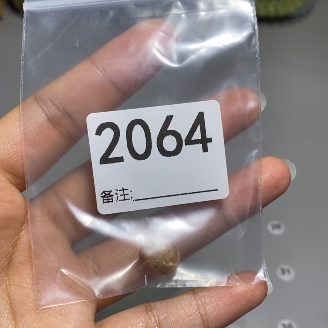 颈饰未镶嵌透闪石质玉蕾