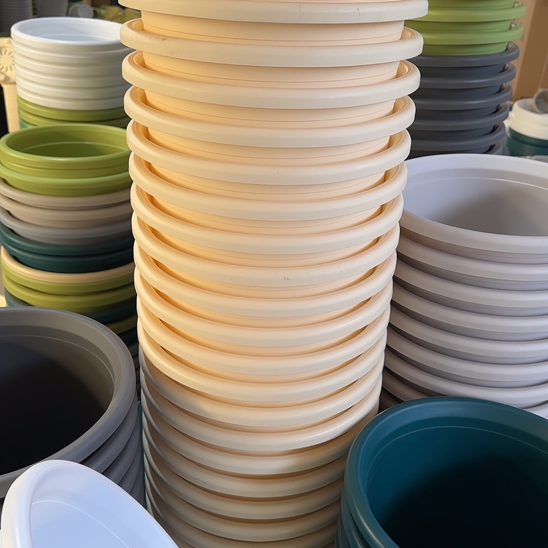 微瑕8号5个无托，米黄