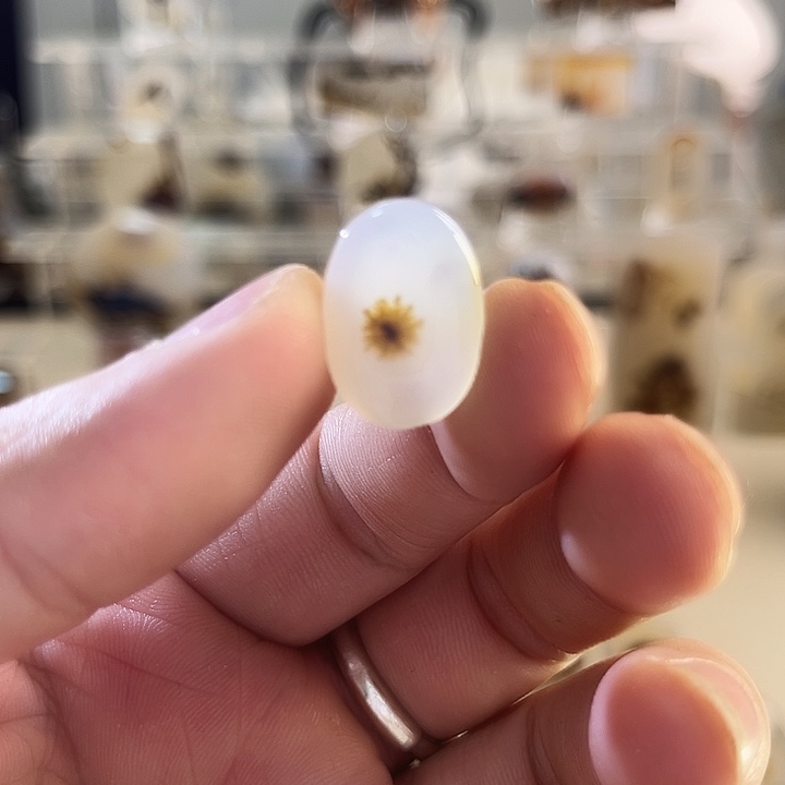 玛瑙/玉髓吊坠(不含链)未镶嵌