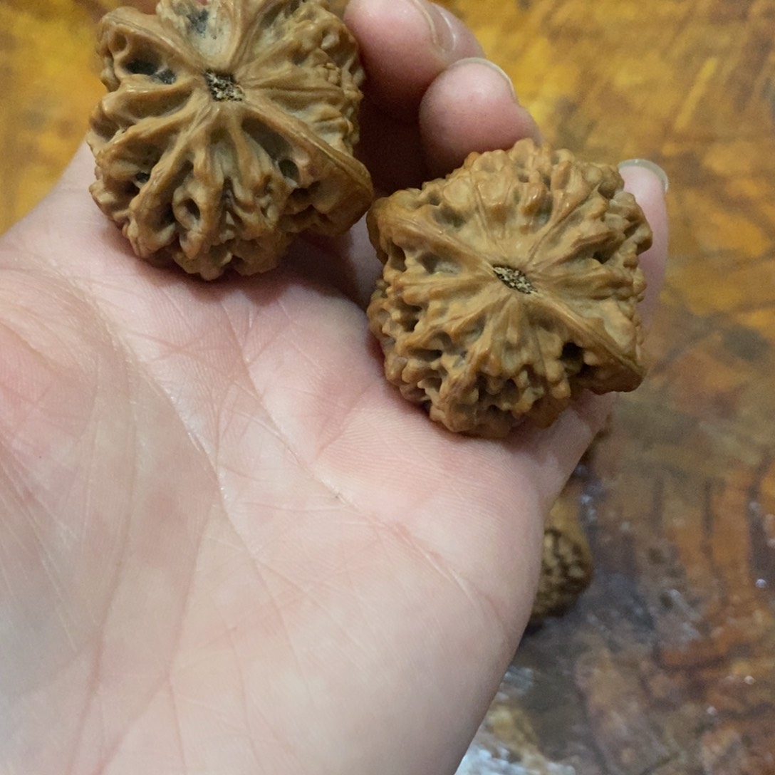 秦岭野生核桃秦闷