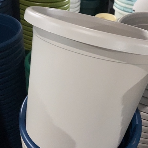 树脂四季4号灰白无托8个