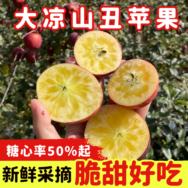 正宗大凉山丑苹果冰糖心盐源丑苹果当季新鲜现摘产地直发X