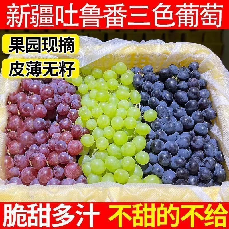 顺丰次日达新疆吐鲁番三色葡萄无核白玻璃脆无核紫新疆维吾尔自治区