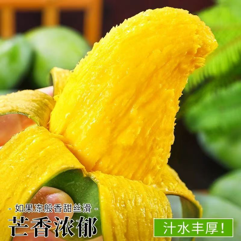 【正宗田东桂七芒果】广西百色正宗桂七香甜多汁新鲜水果采摘发货