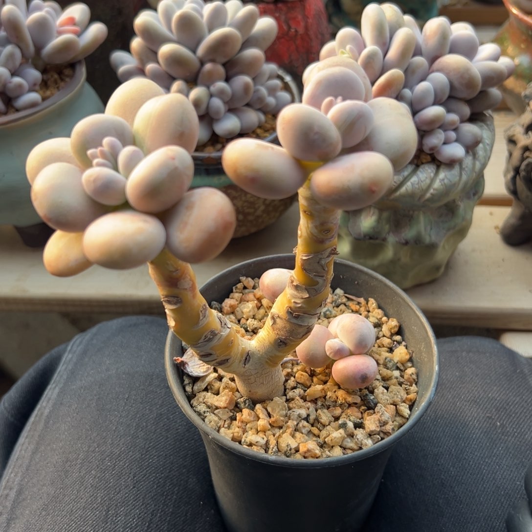 111111111111111111111