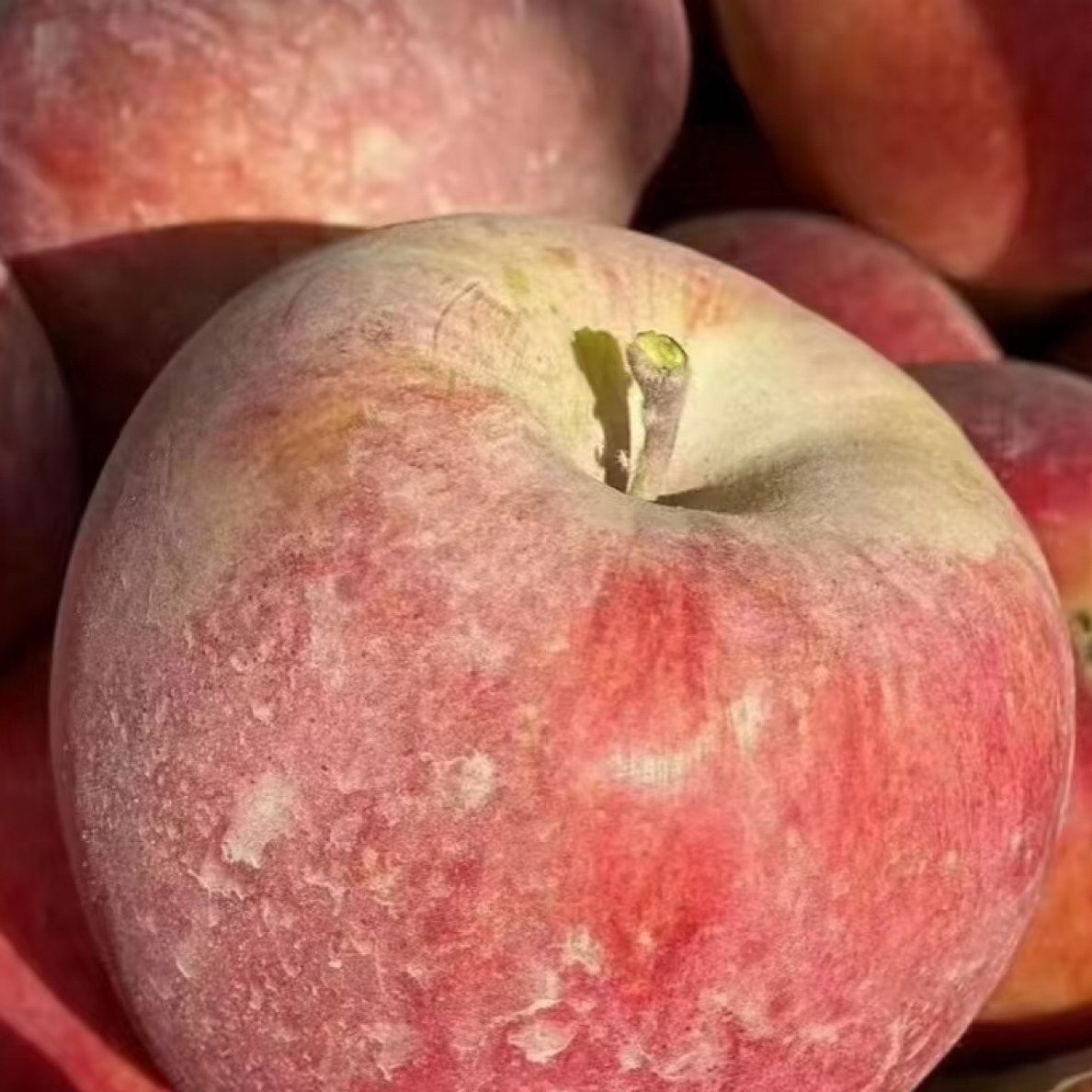 果切阿克苏苹果一箱5.5斤左右