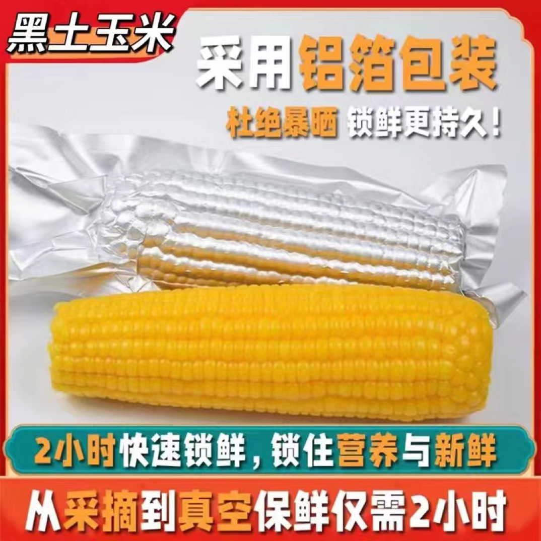 10根东北黑土地波斯糯九黄粘糯玉米 微甜软糯粘香铝箔锁鲜均重260