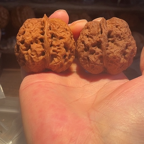 文玩核桃把件老太湖彩阴色差42