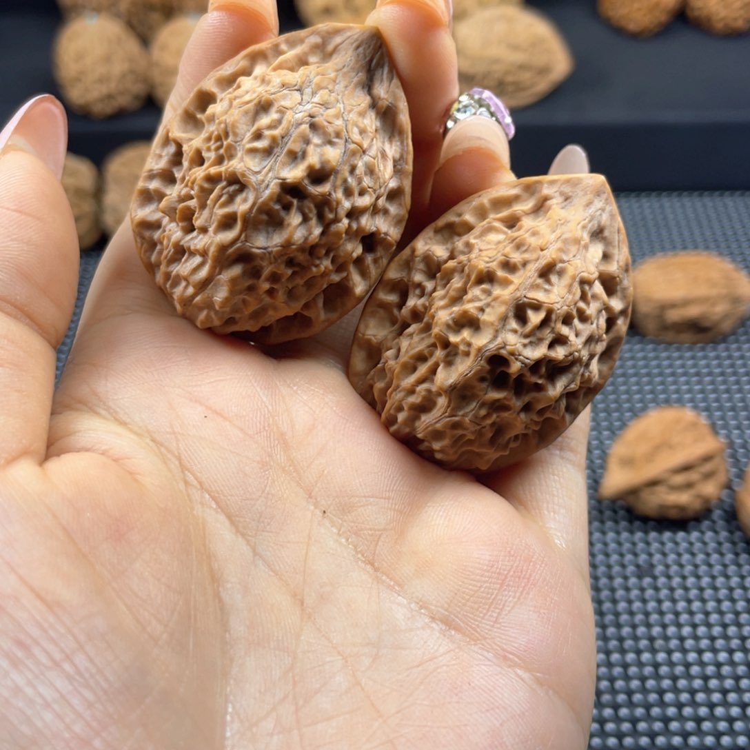 D*S秦岭神树秦闷小王