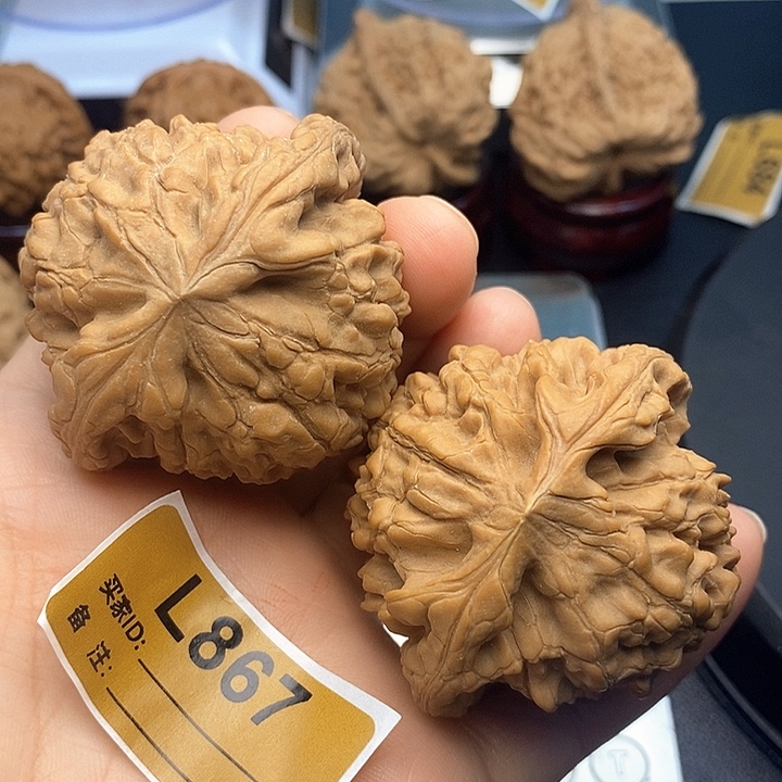 A***k吊坠文玩核桃龙鼎5.1