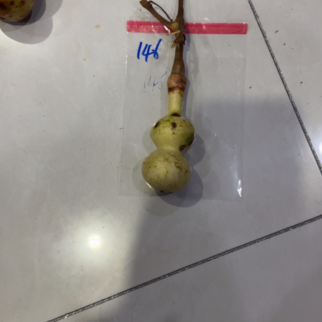 魏***黄葫芦v干活GVv刚刚尴尴尬尬哈哈给GVv