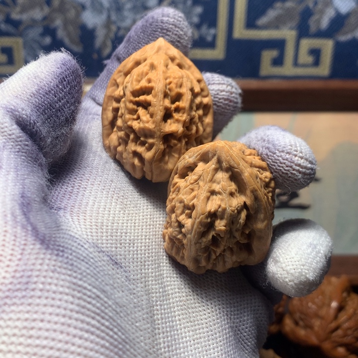 騑***哈哈哈哈哈哈哈哈哈哈