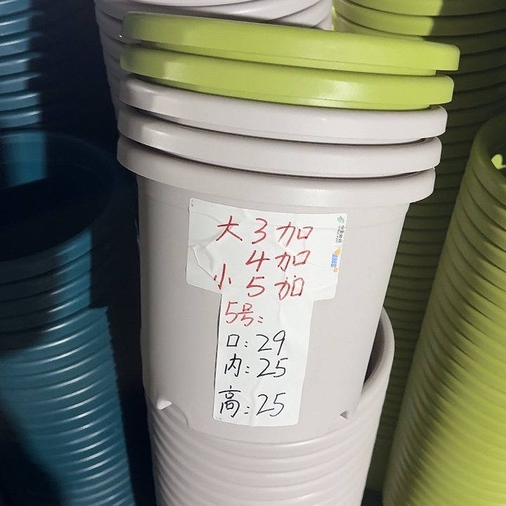 四季5#口径29灰白10个无托