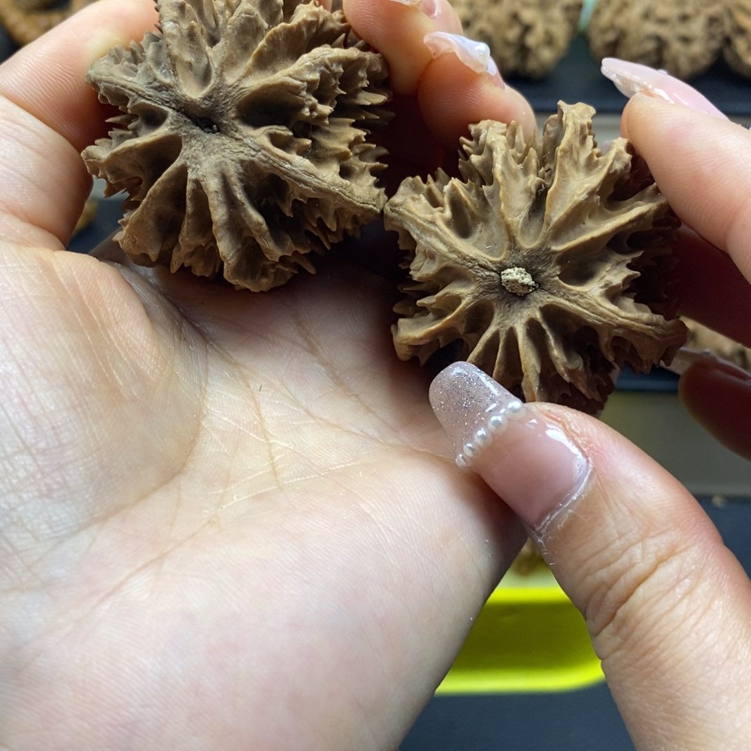 桃核把件秦岭大刺43