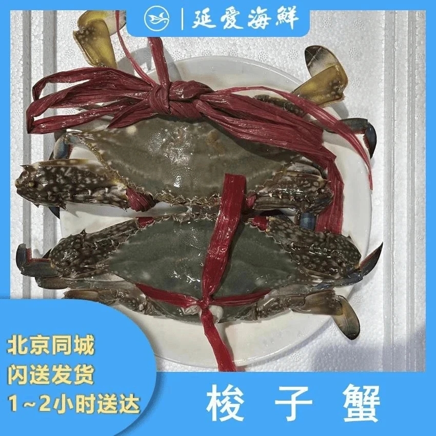 【鲜活】鲜活梭子蟹 吃黄母蟹 3-6两一只 三斤装【保鲜不保活】
