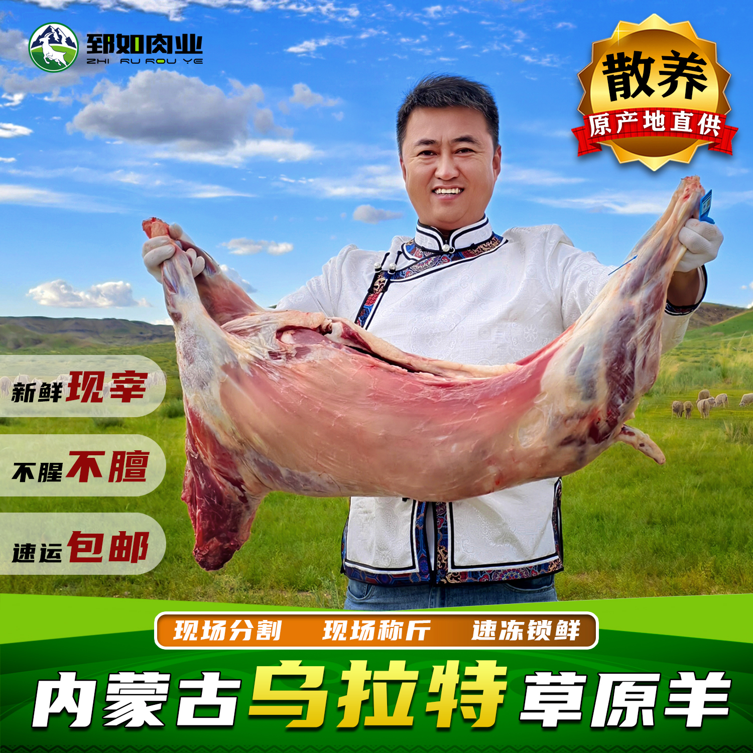 【山羯羊链接】整羊45斤内蒙古牧区现抓现宰可视频整扇/切块70%腿排
