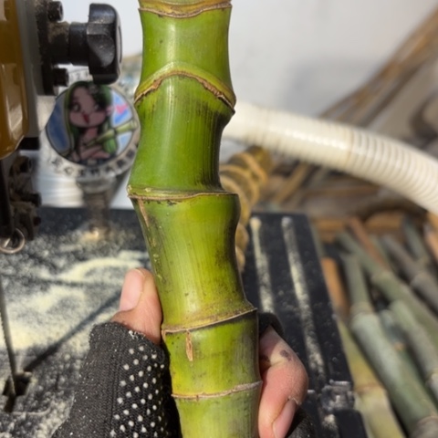 *****实心竹竹竹竹竹竹竹竹竹竹