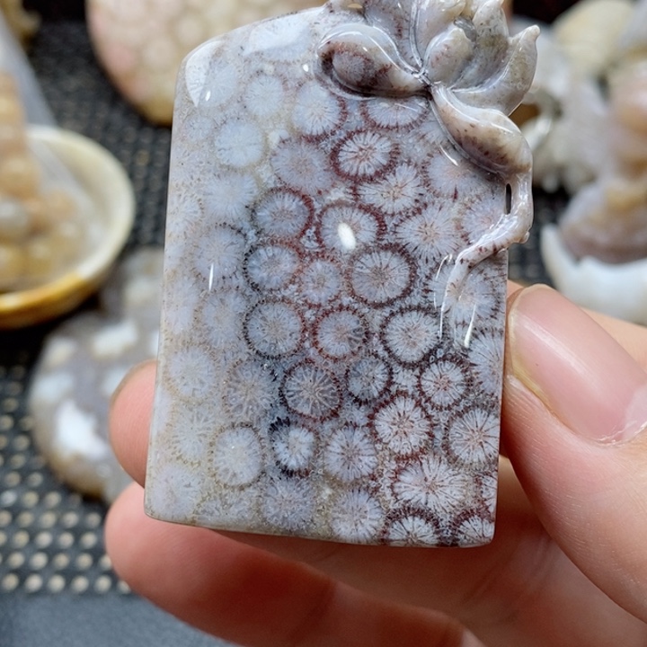 硅化珊瑚（珊瑚玉）颈饰未镶嵌