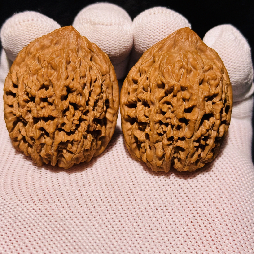 大蒜头专场（专用）