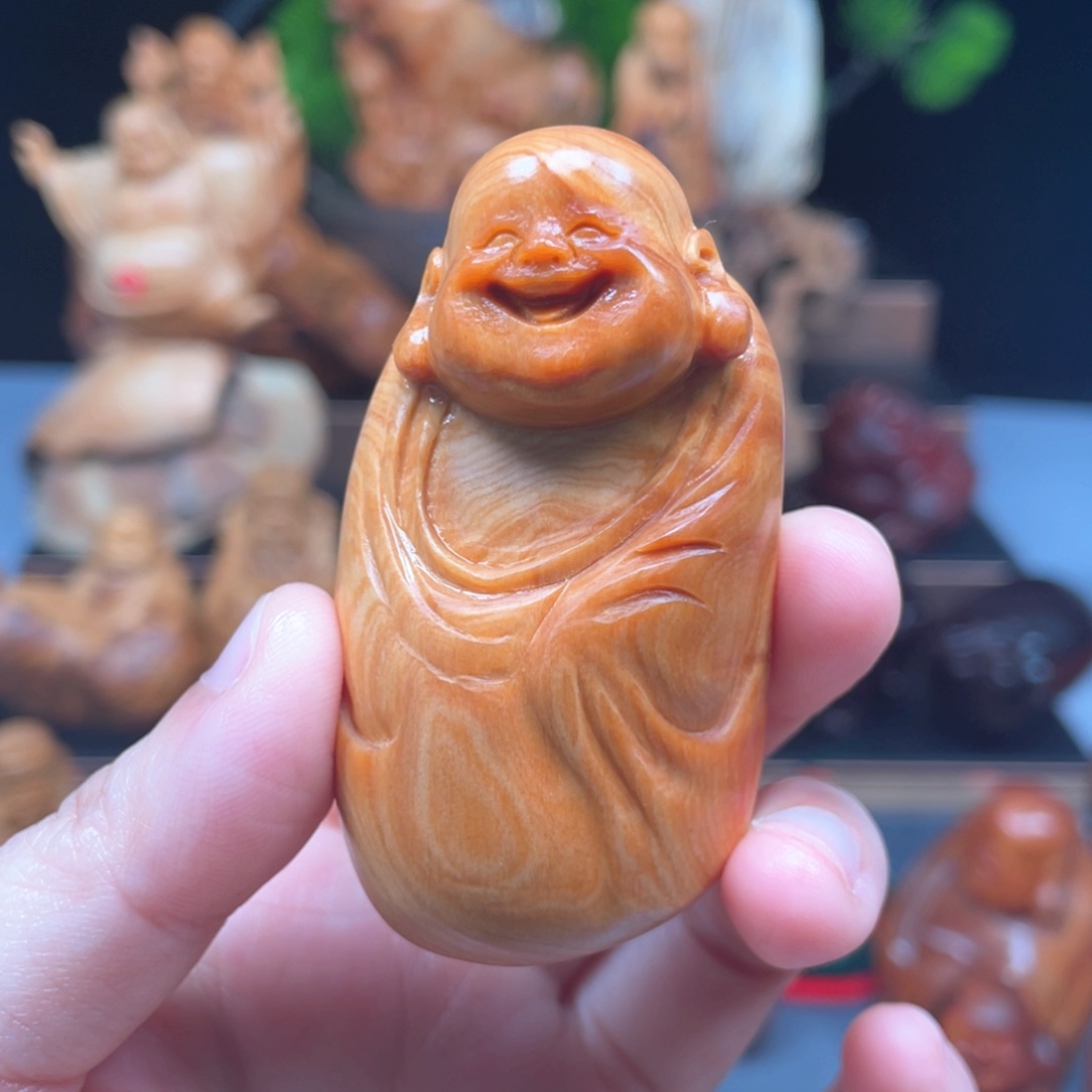 柏木（崖柏）太行崖柏