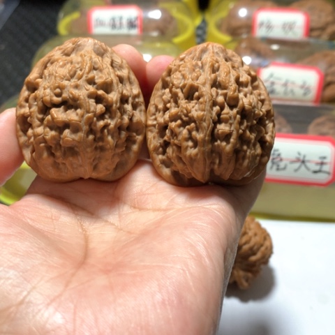 吊坠文玩核桃蚂蚁王