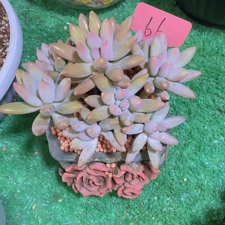 你不给别人的时间